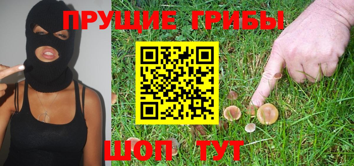 Псилоцибиновые грибы мухоморы Димитровград