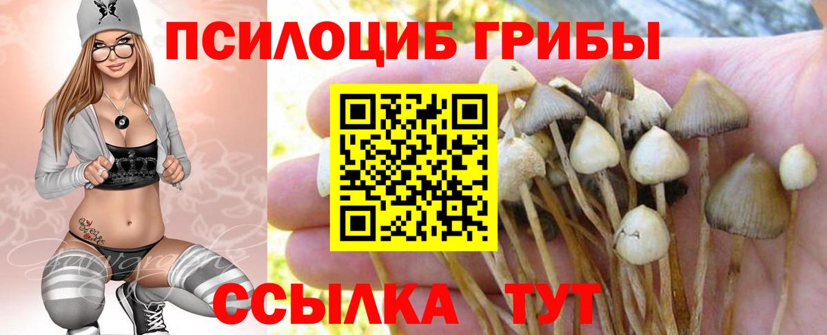 Галлюциногенные грибы мухоморы  Вход с VPN  Димитровград 