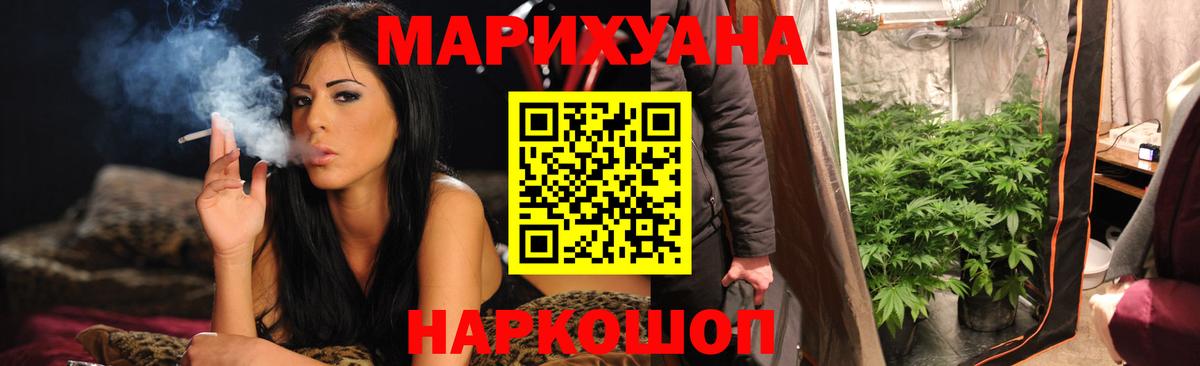 Конопля гибрид Димитровград